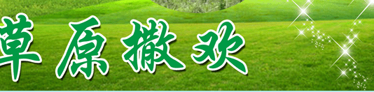 结业季—一起去草原撒欢
