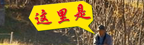 这里是自驾游的天堂