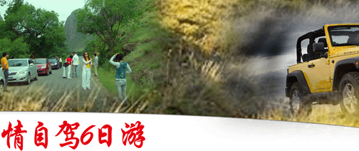 这里是自驾游的天堂