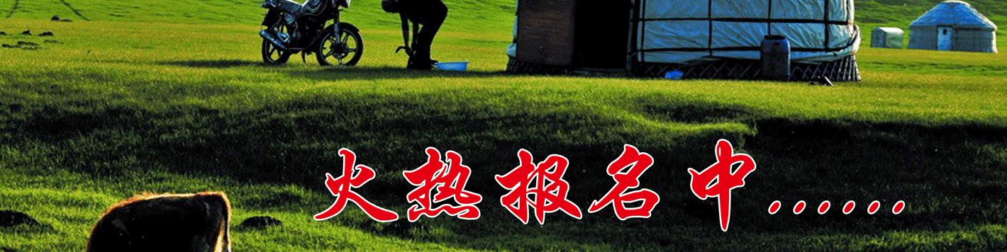 草原散客